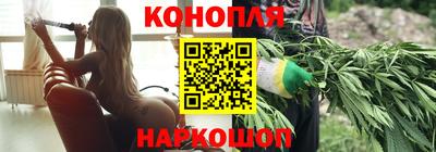 гидра Камень-на-Оби