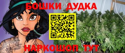 гидра Камень-на-Оби