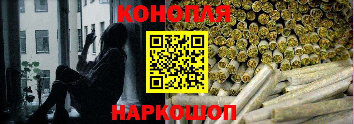 Конопля план Владикавказ
